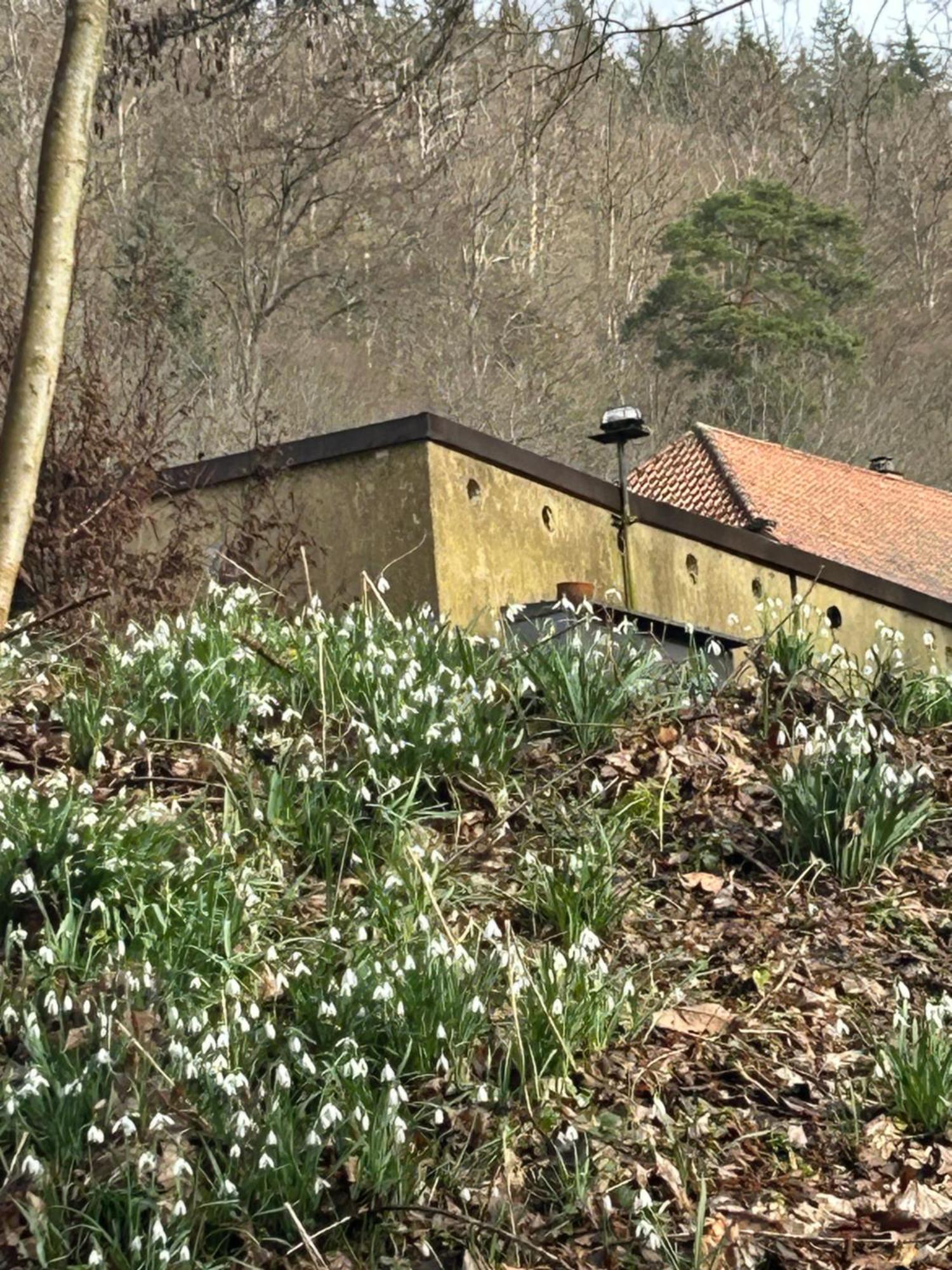 Villa Am Fluss Pforzheim Dış mekan fotoğraf