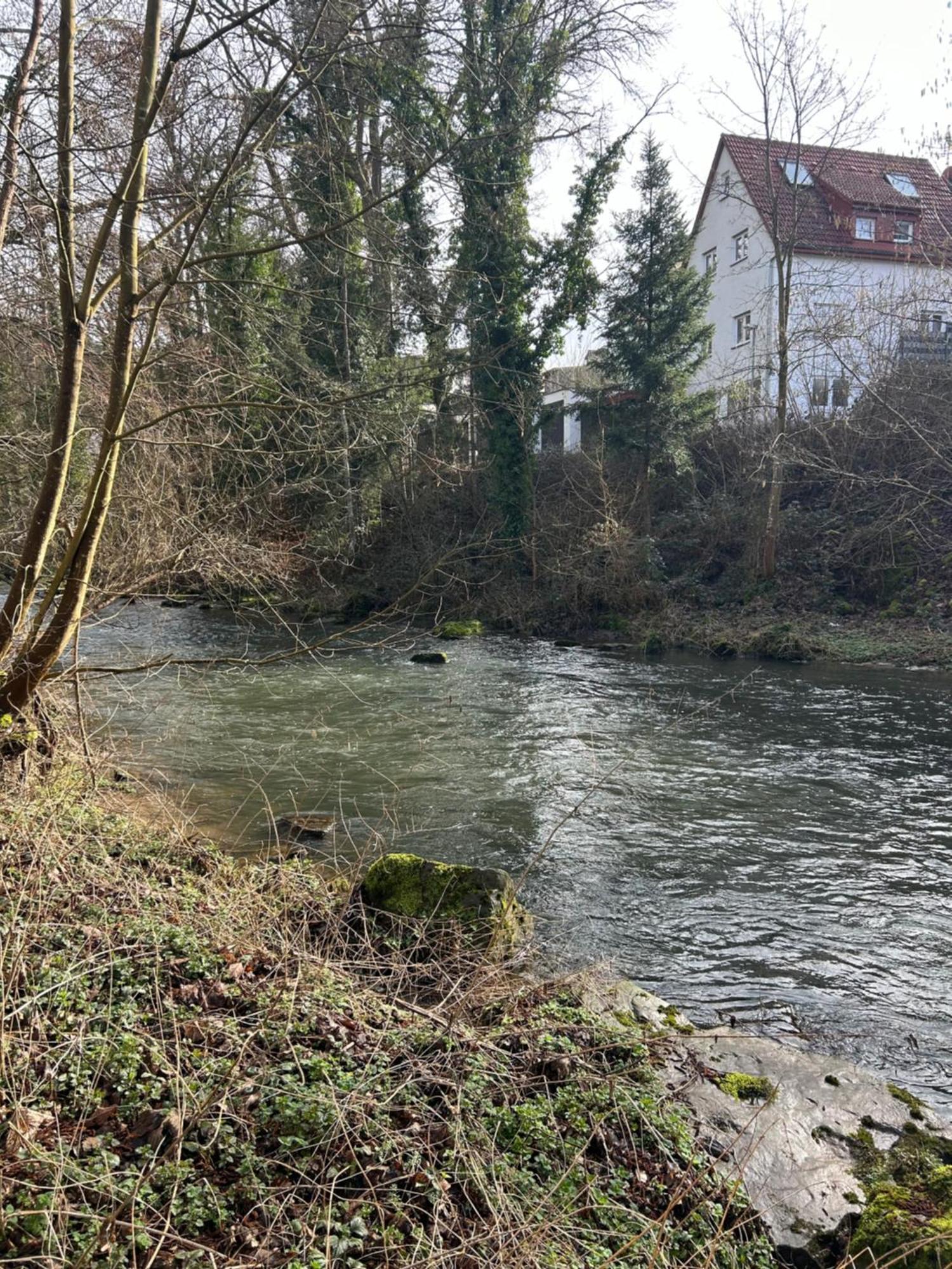 Villa Am Fluss Pforzheim Dış mekan fotoğraf